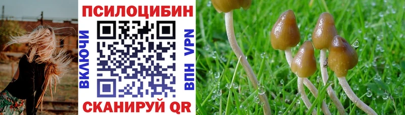 где купить наркоту  Ухта  Псилоцибиновые грибы ЛСД 