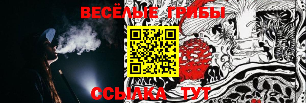 Ухта  Галлюциногенные грибы Cubensis  Вход с VPN 